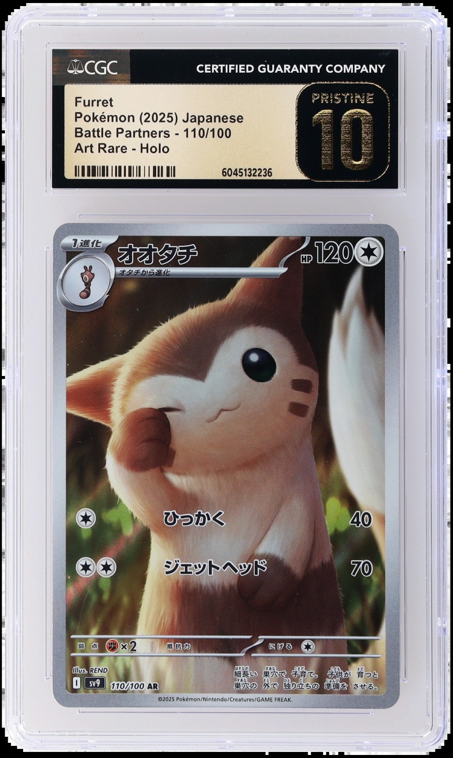 Furret