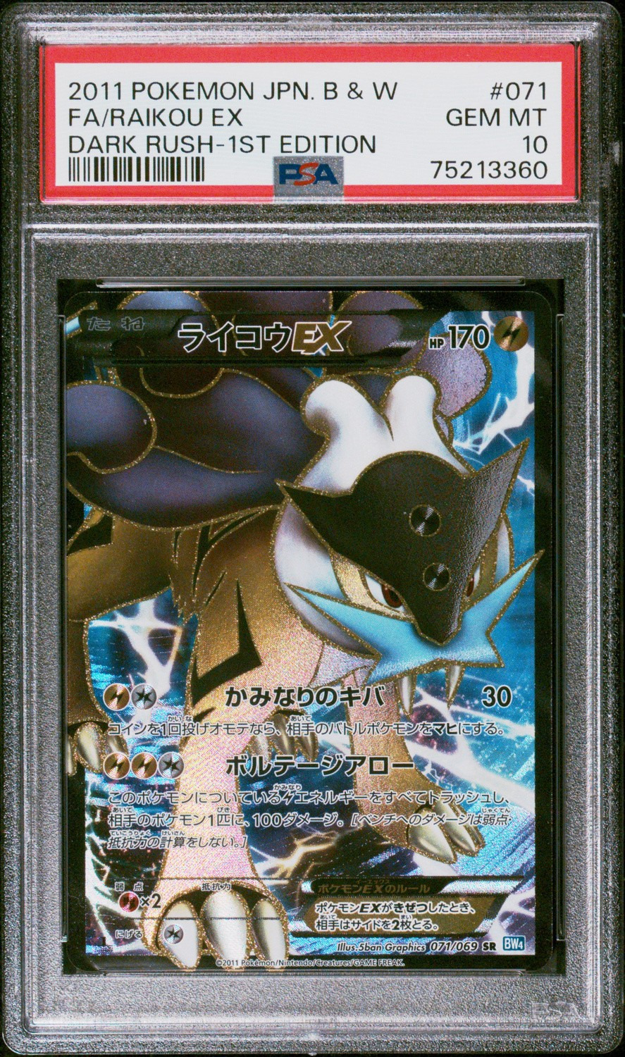 Raikou EX