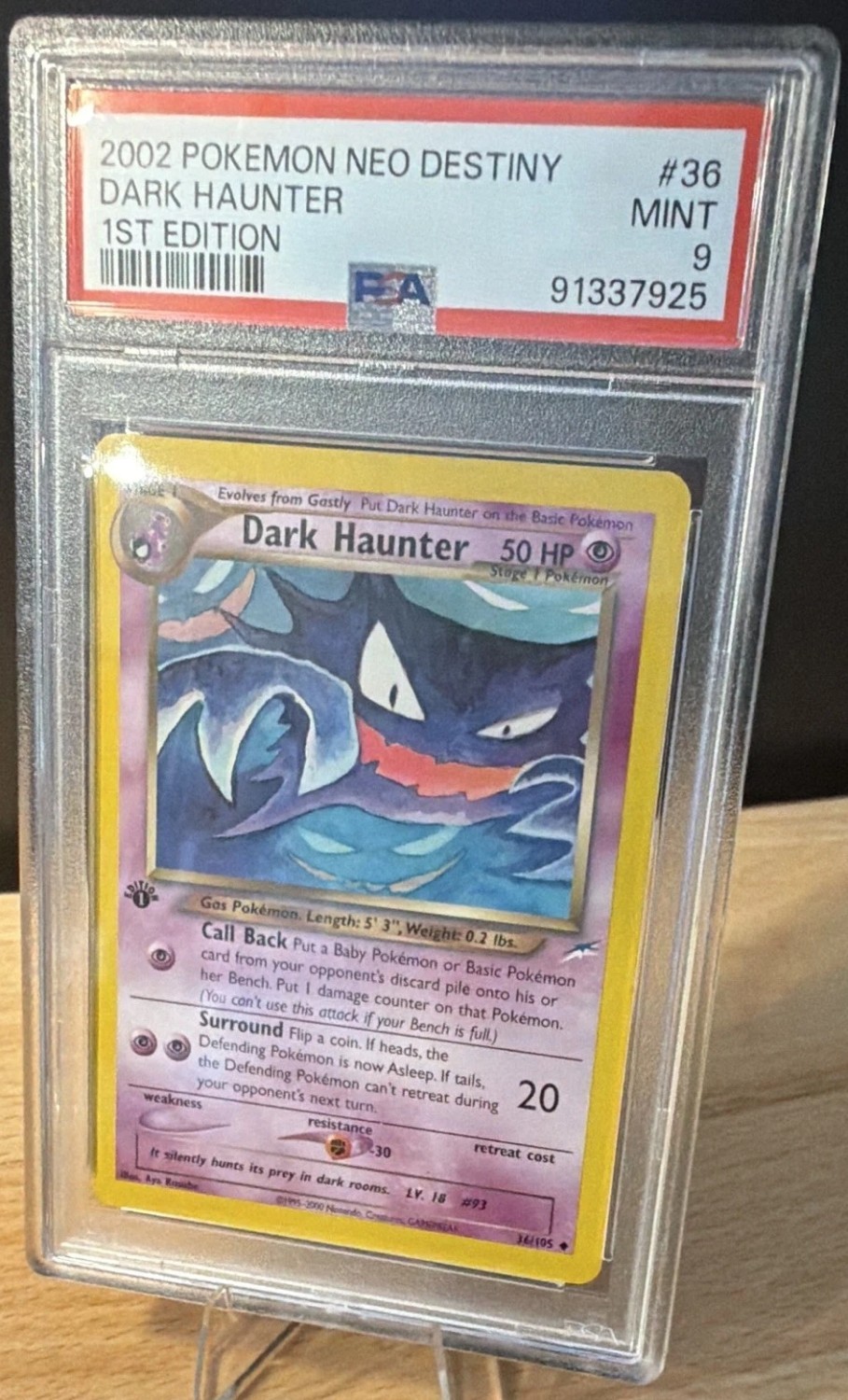 Dark Haunter