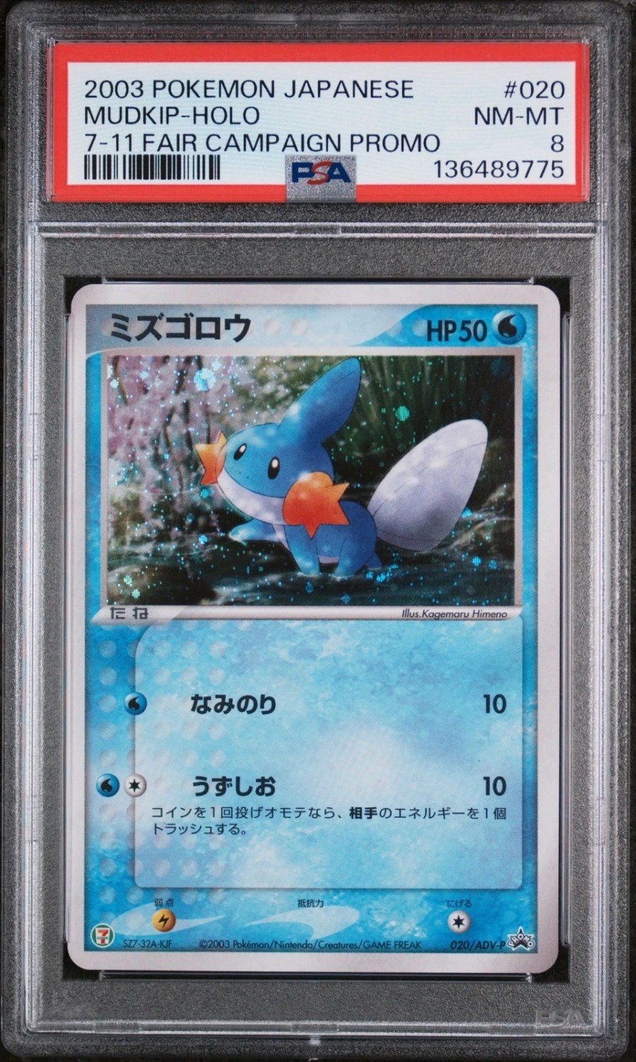 Mudkip