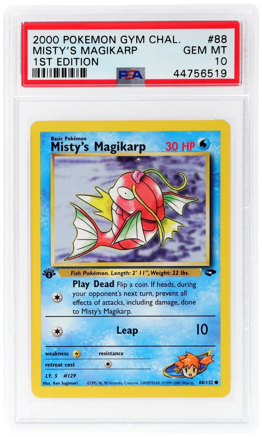 Misty's Magikarp