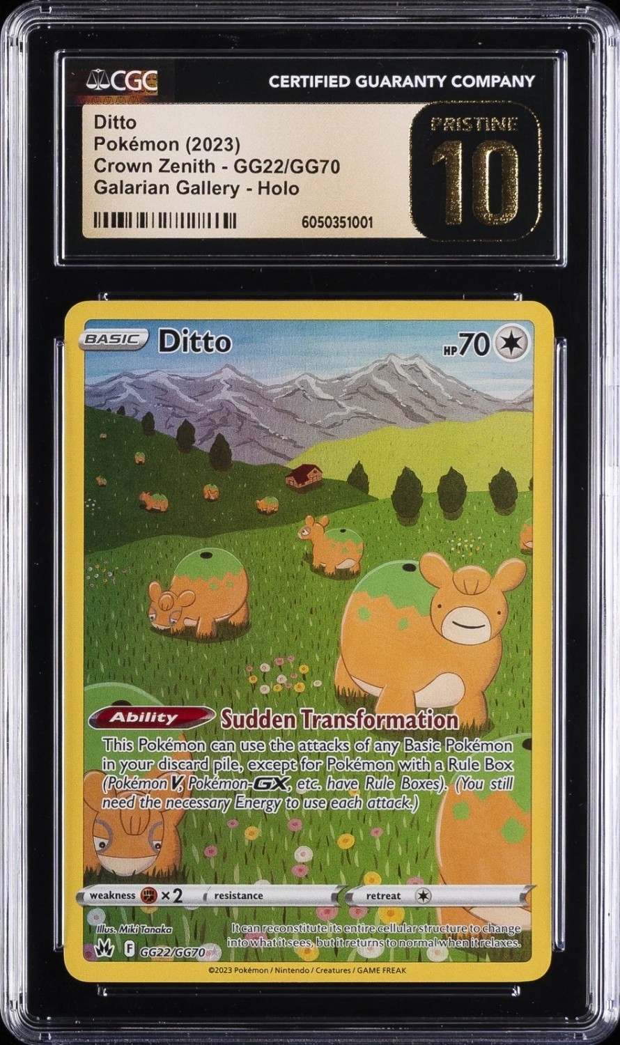 Ditto