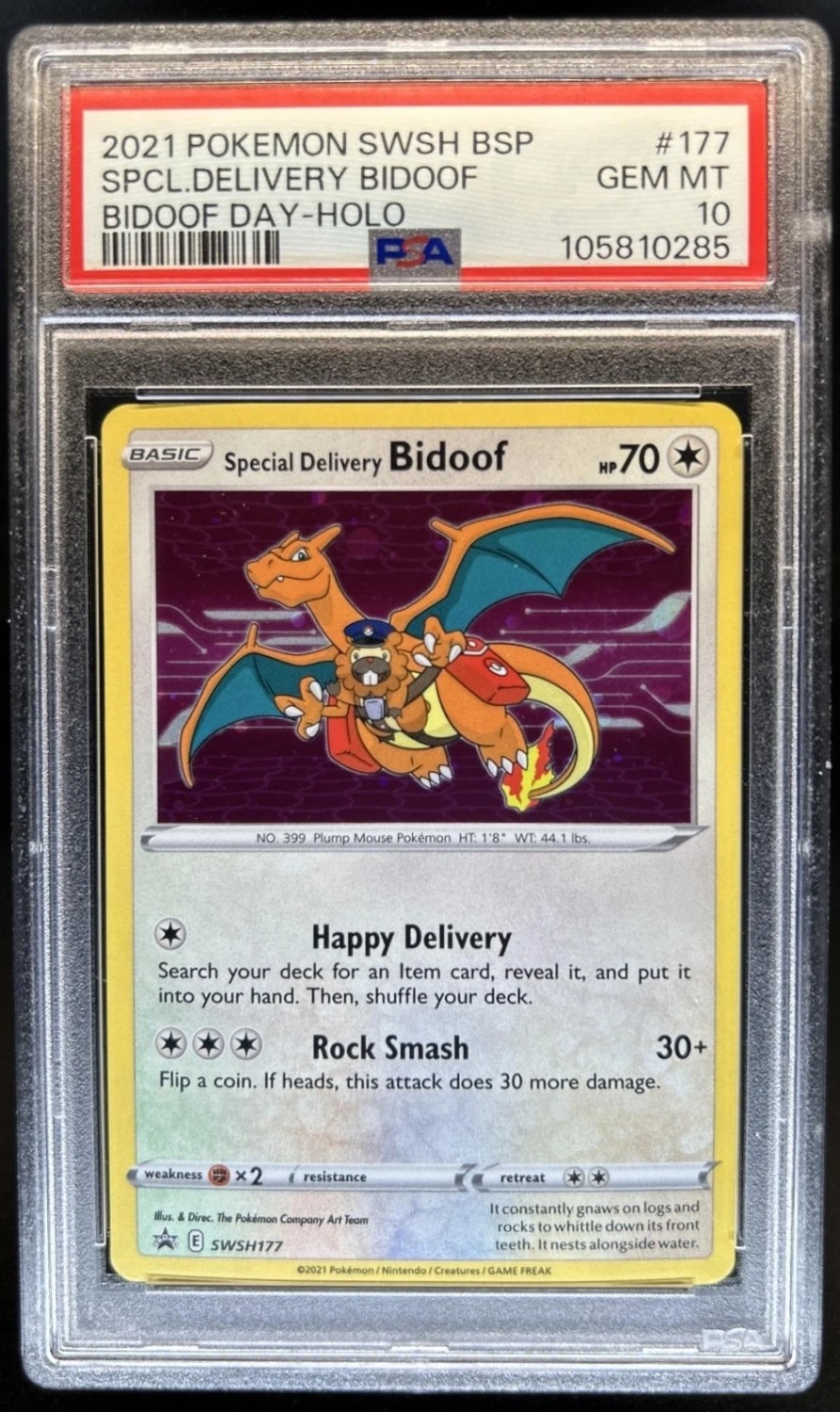 Special Delivery Bidoof