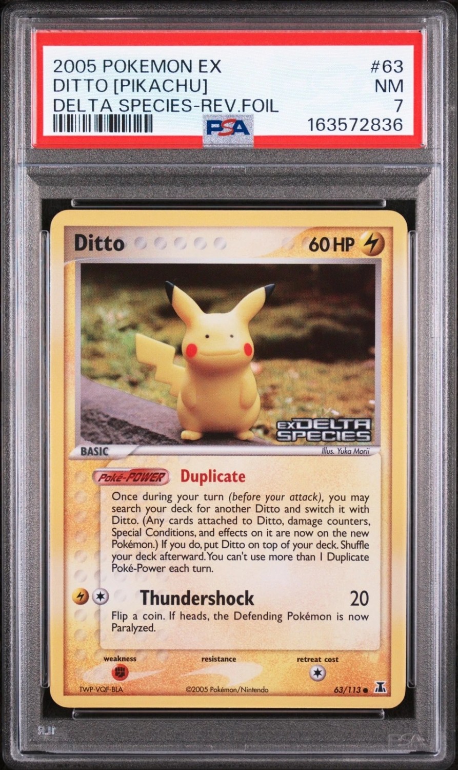 Ditto [Pikachu]