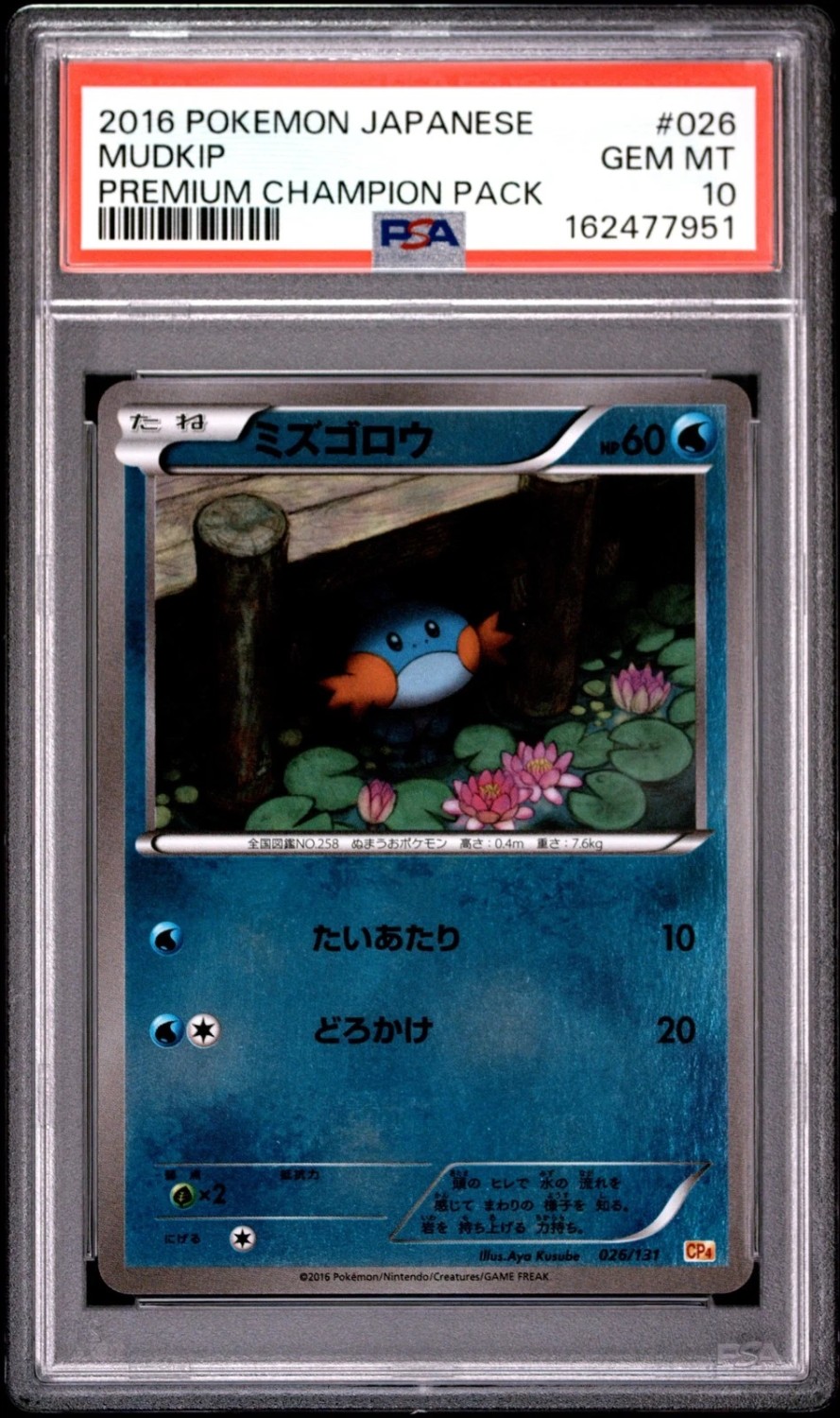 Mudkip