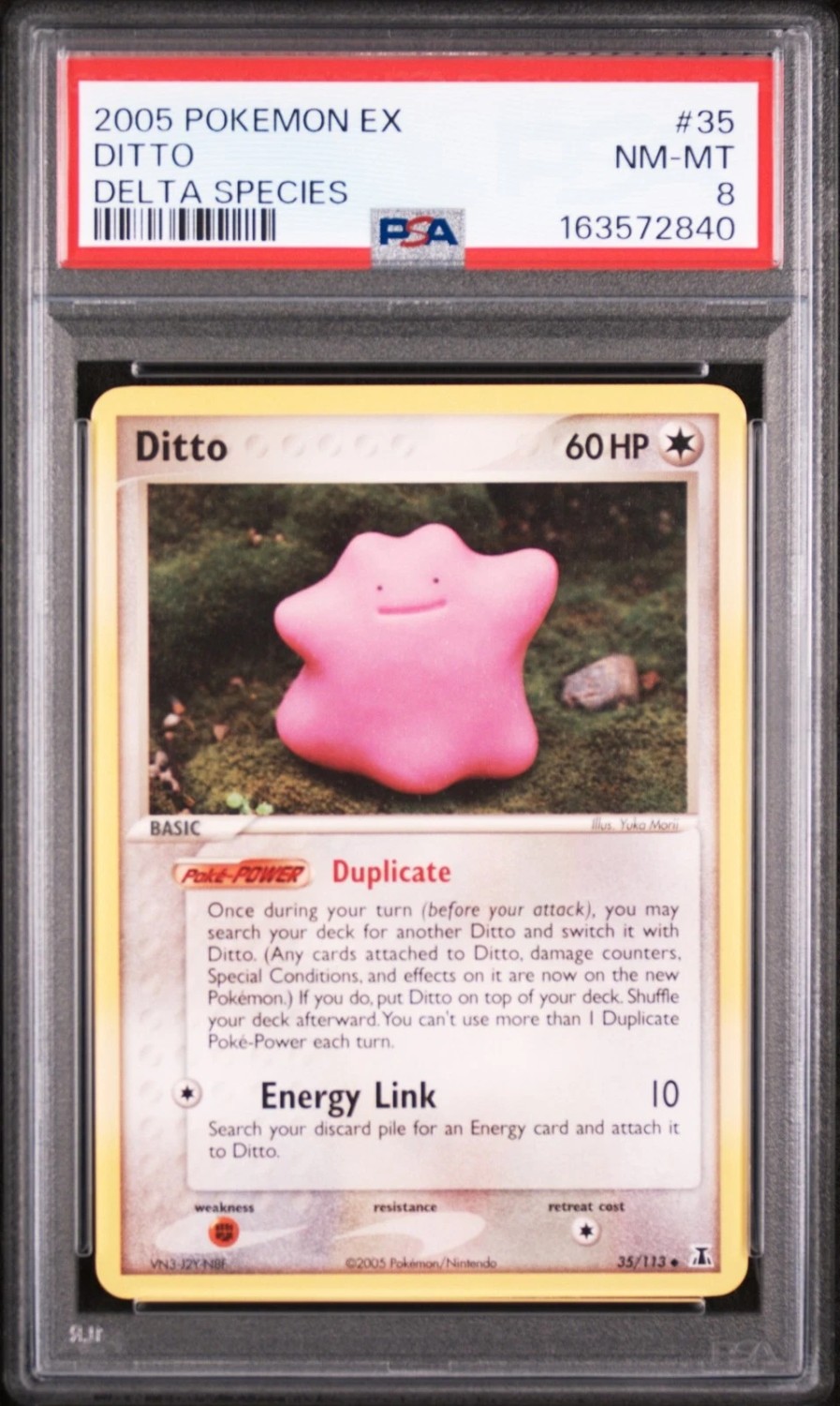 Ditto