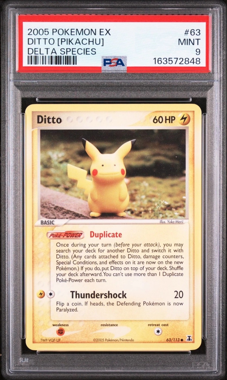 Ditto [Pikachu]