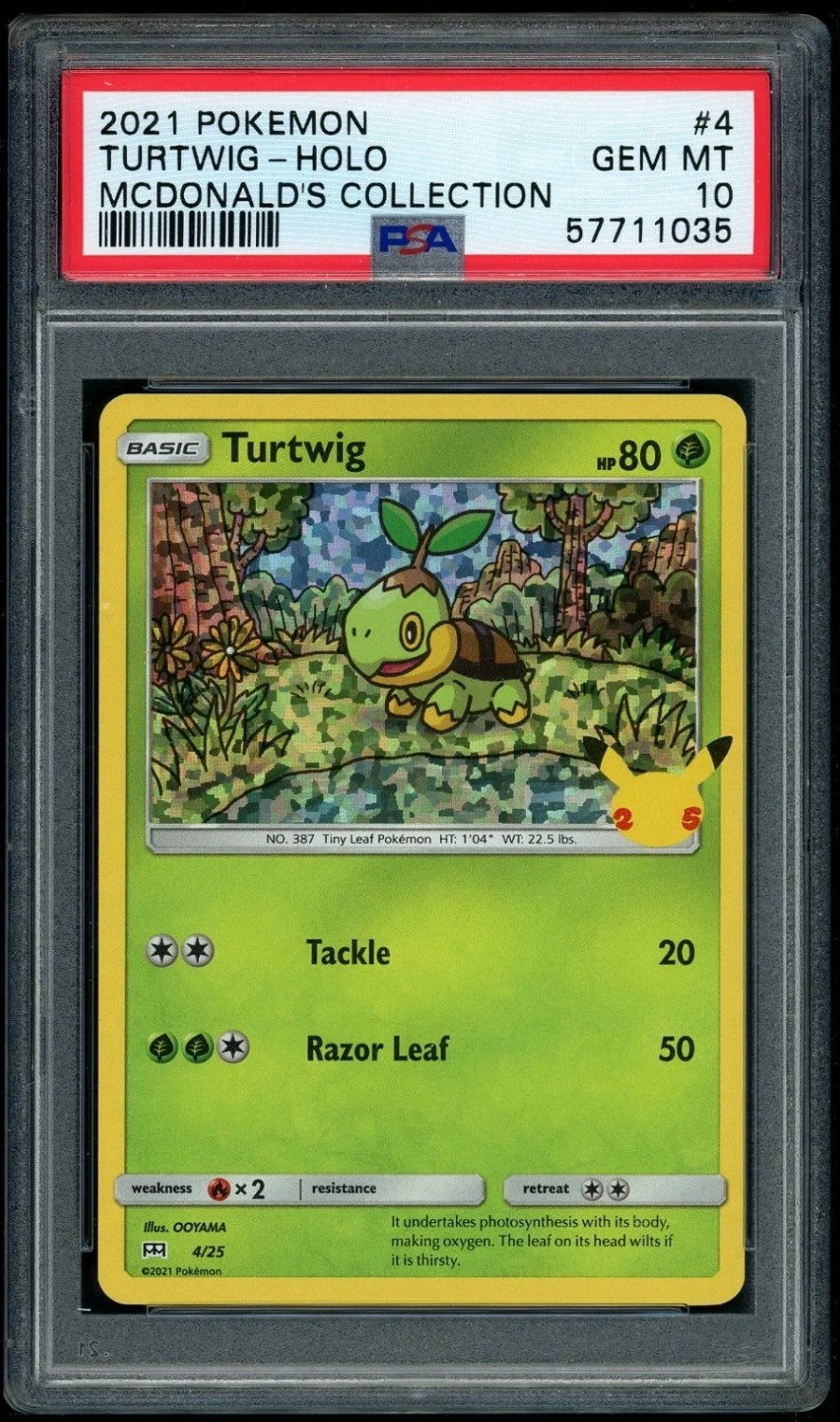 Turtwig