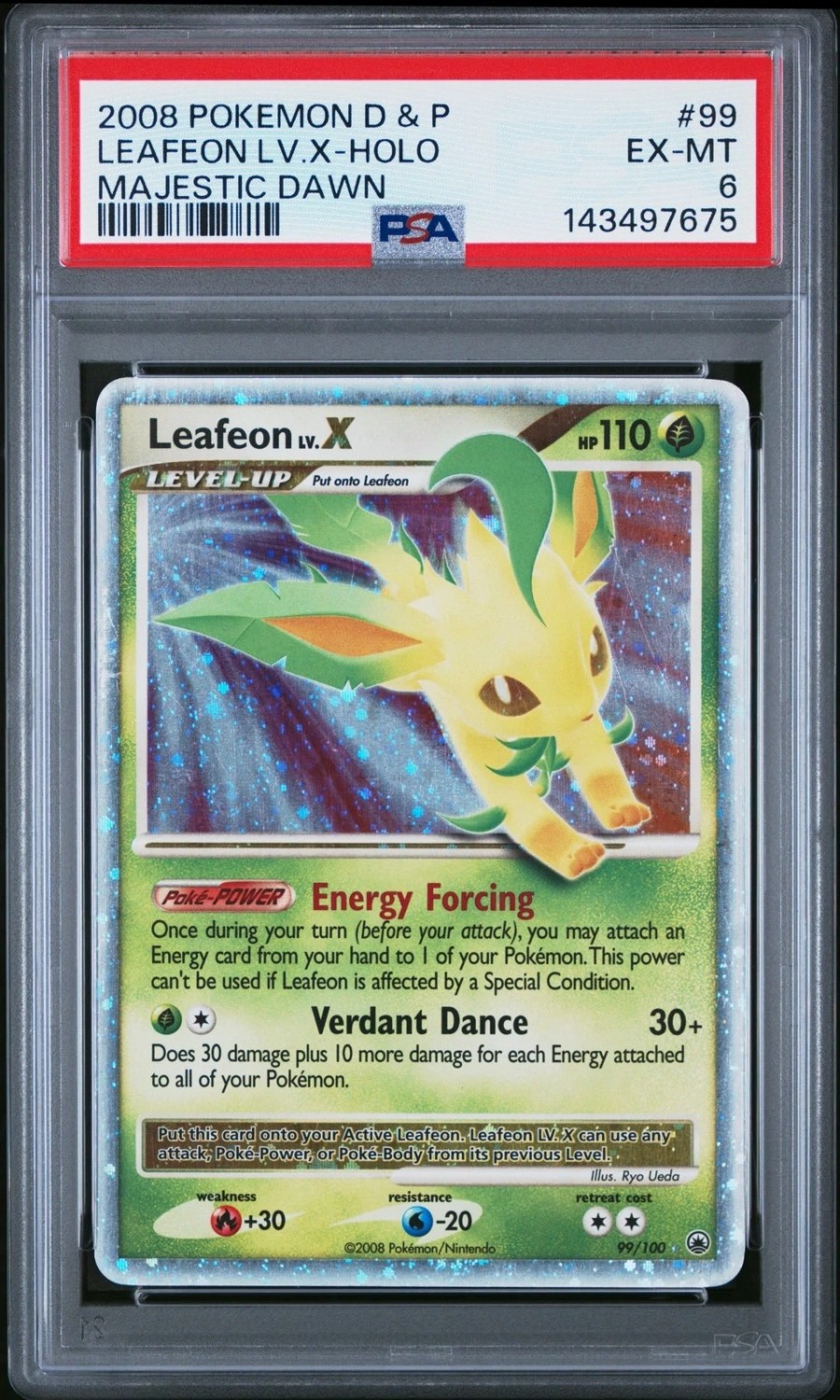 Leafeon Lv X