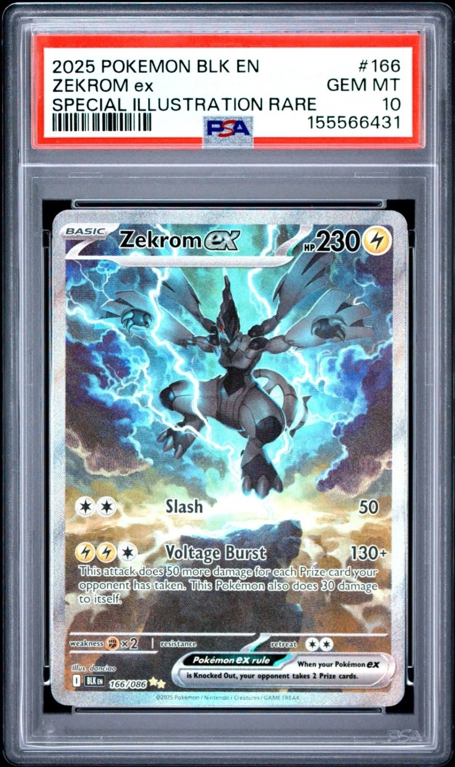 ZEKROM ex
