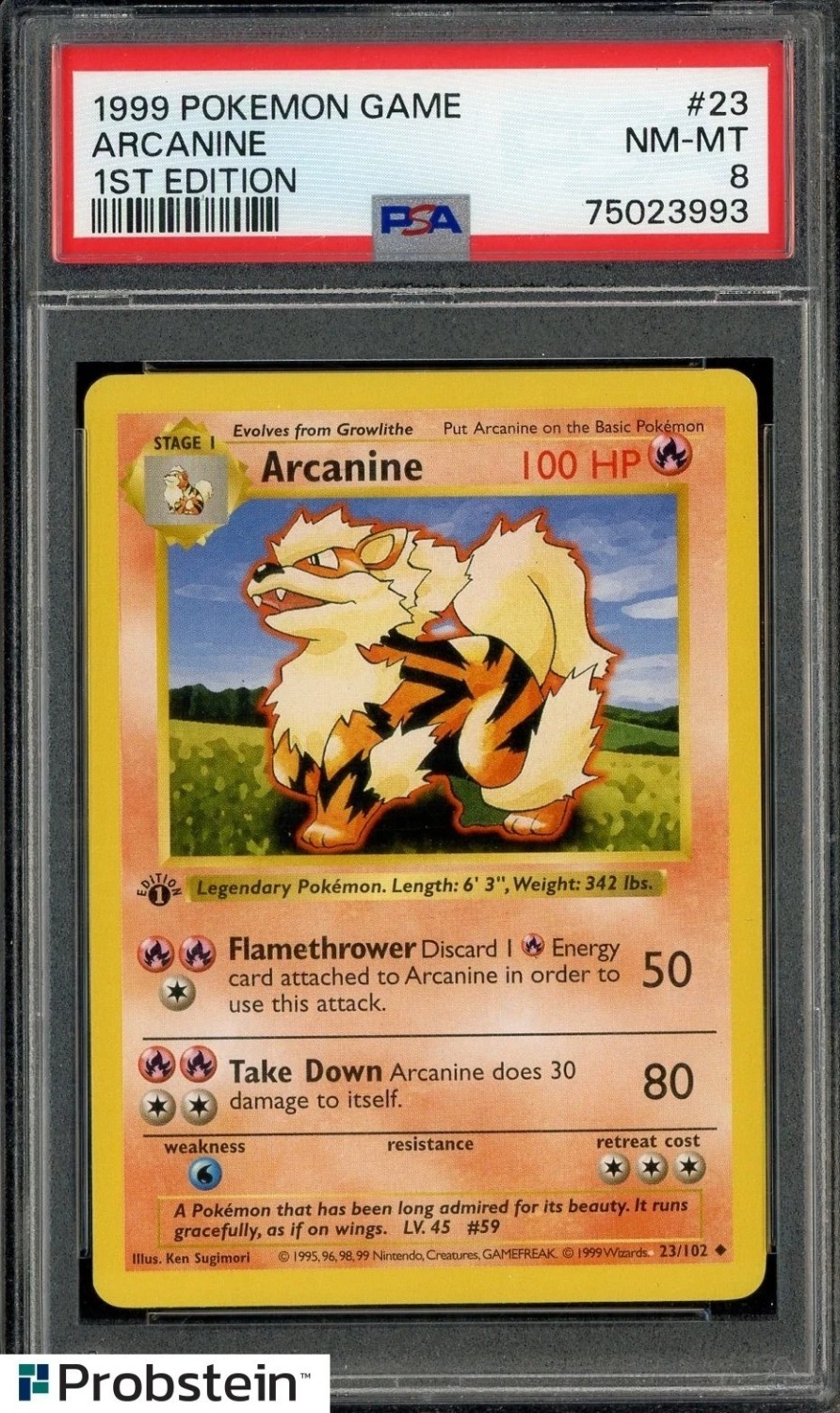 ARCANINE