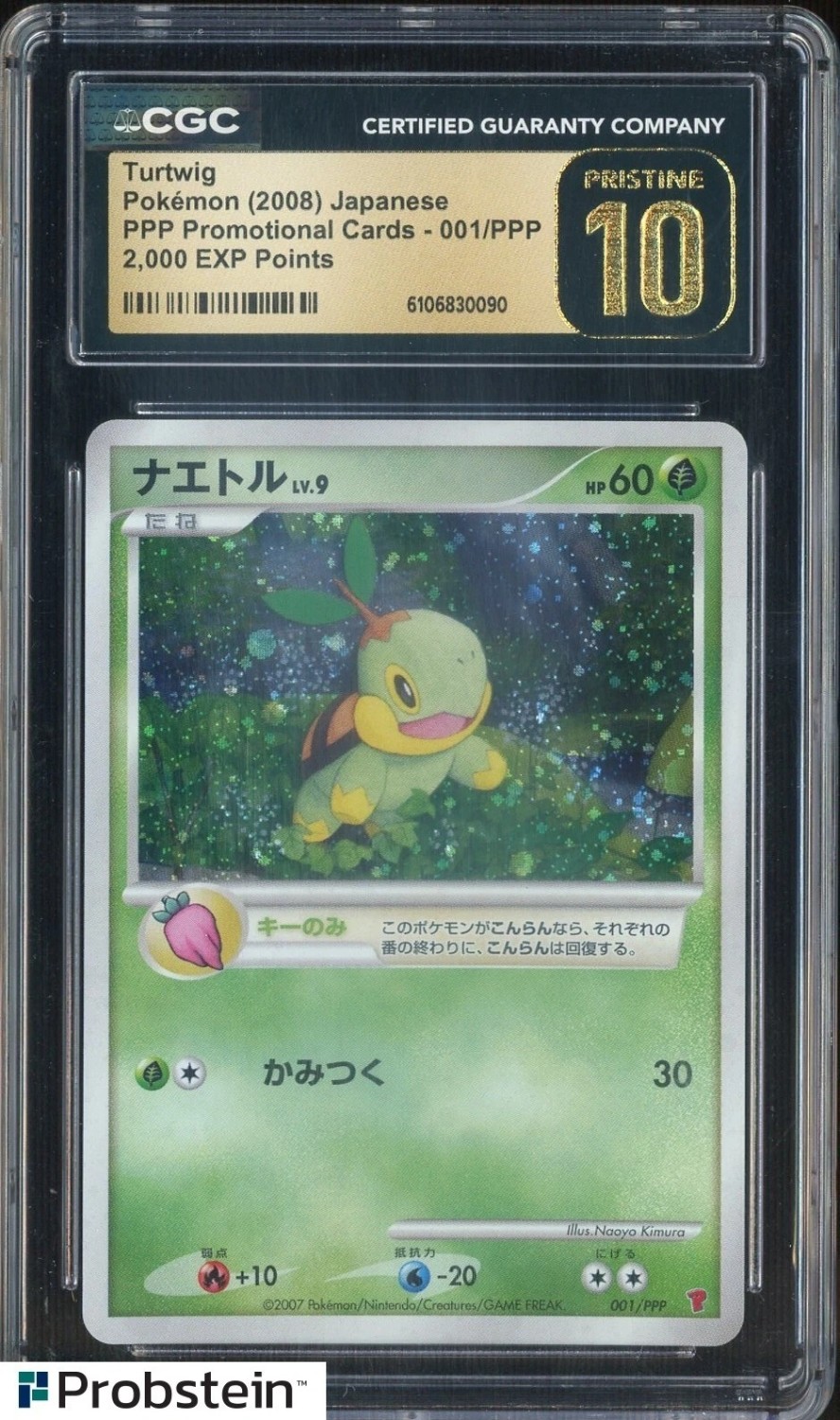 Turtwig