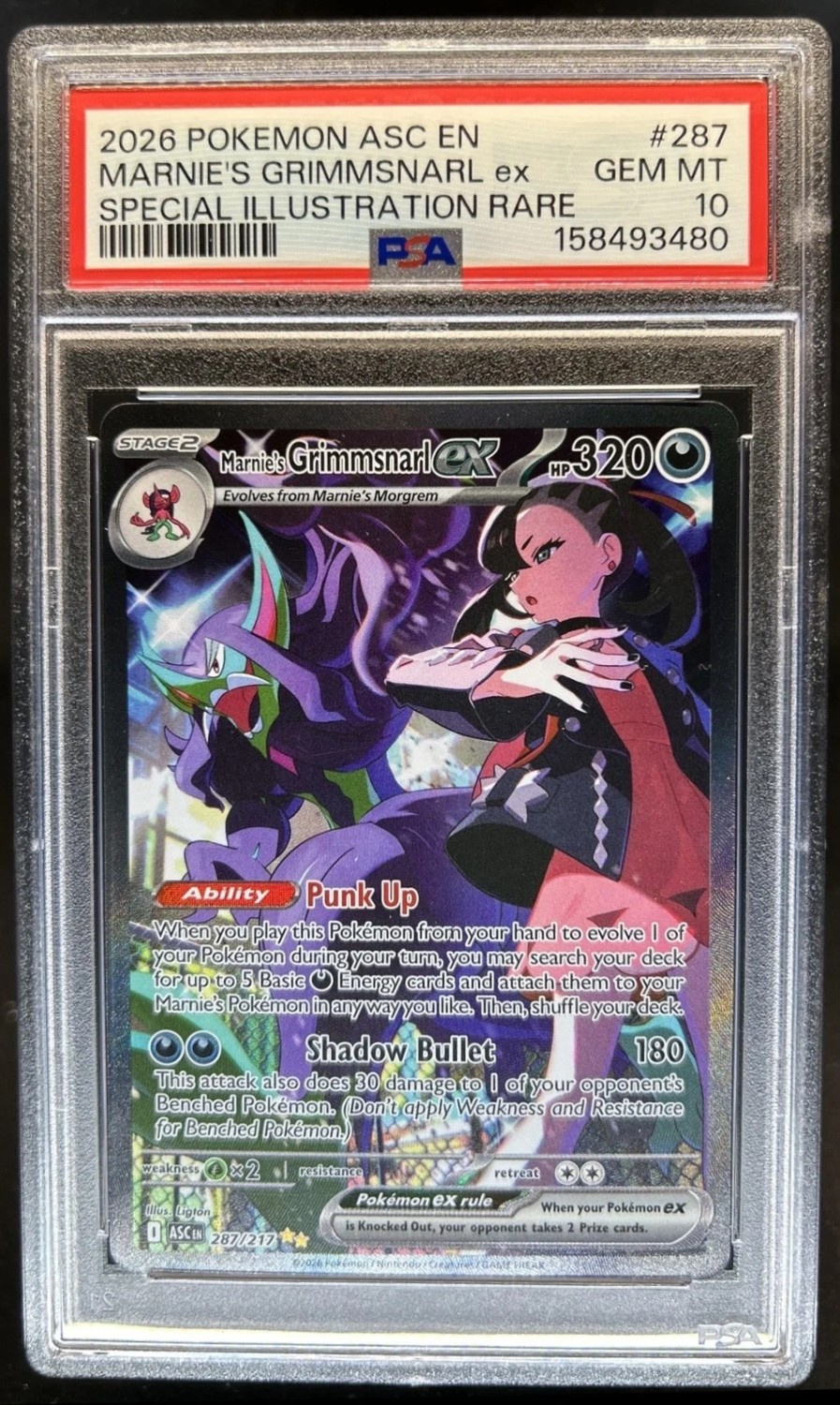 MARNIE'S GRIMMSNARL ex