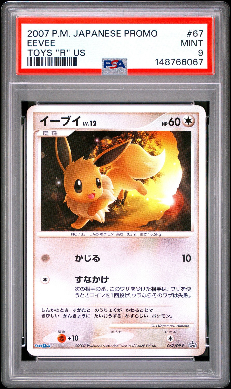 Eevee