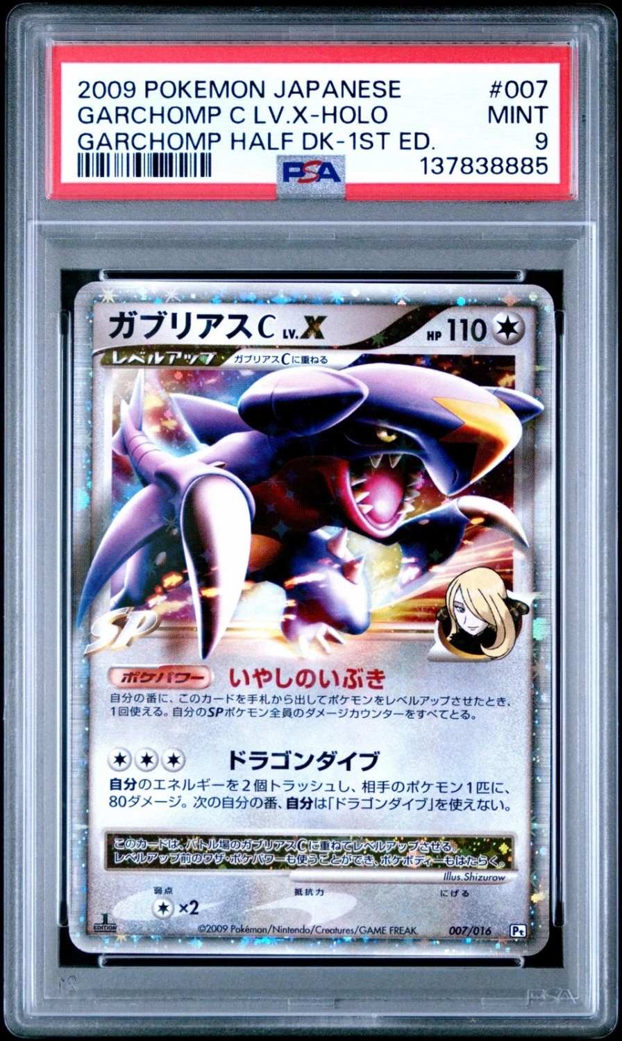 GARCHOMP C LV.X