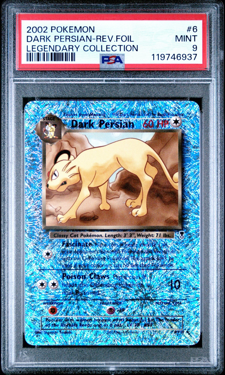 Dark Persian