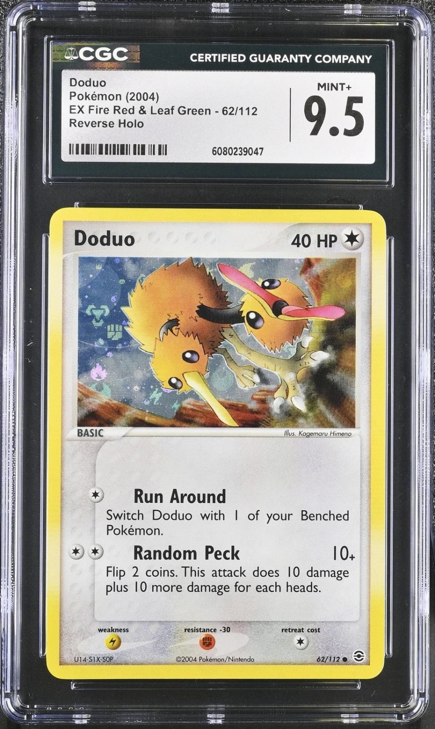Doduo