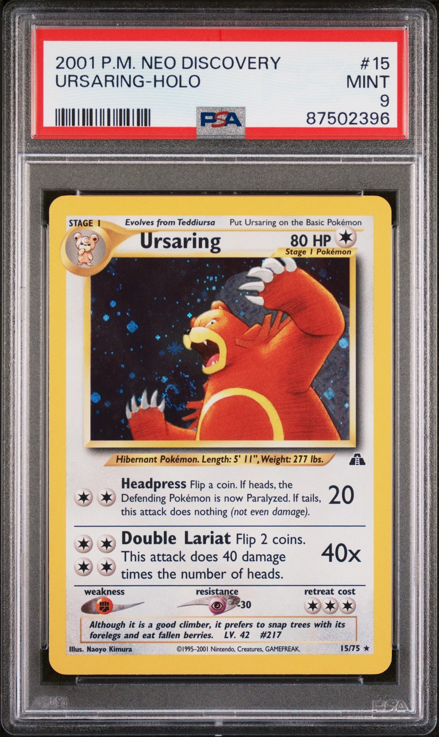 Ursaring