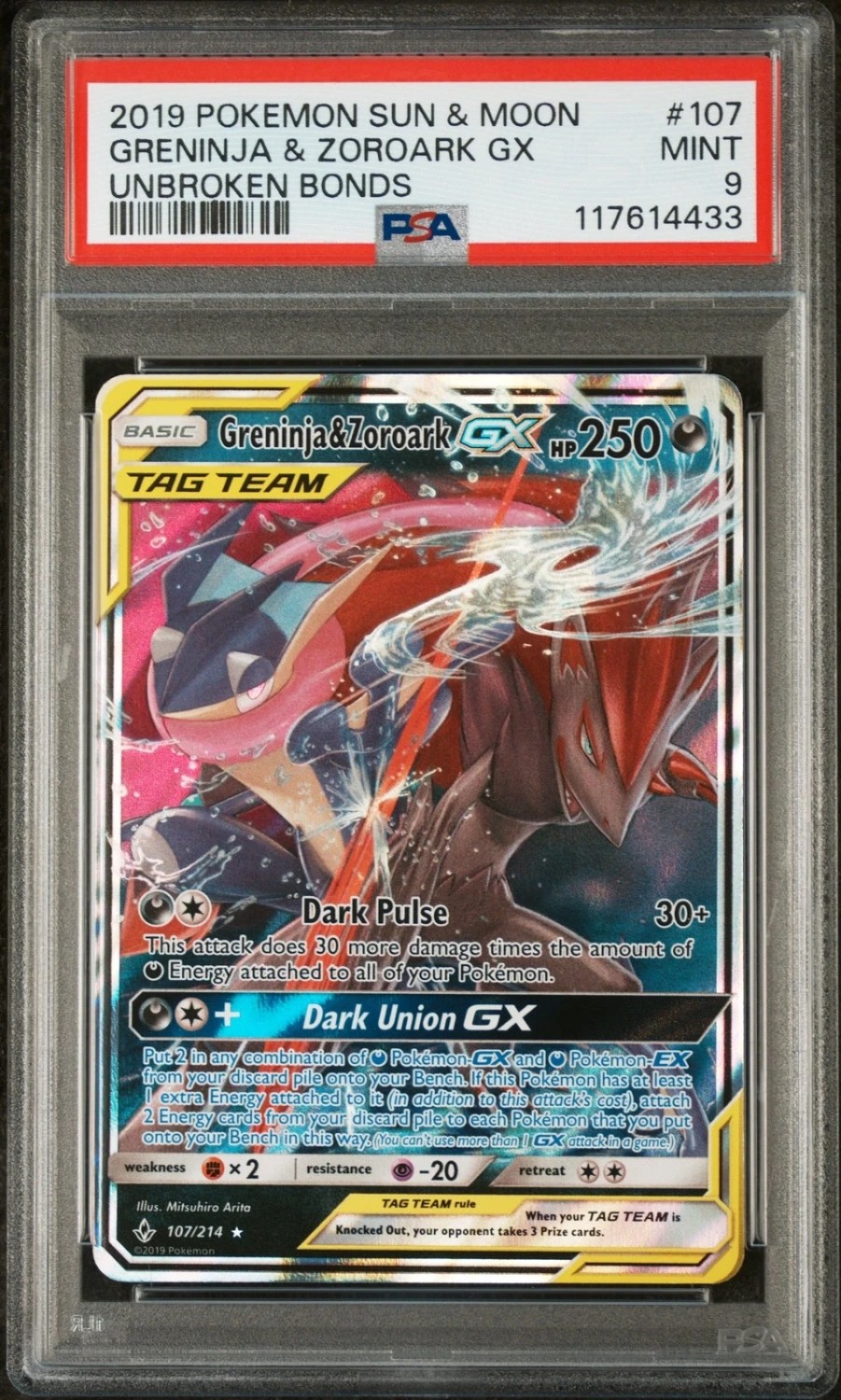 Greninja & Zoroark GX