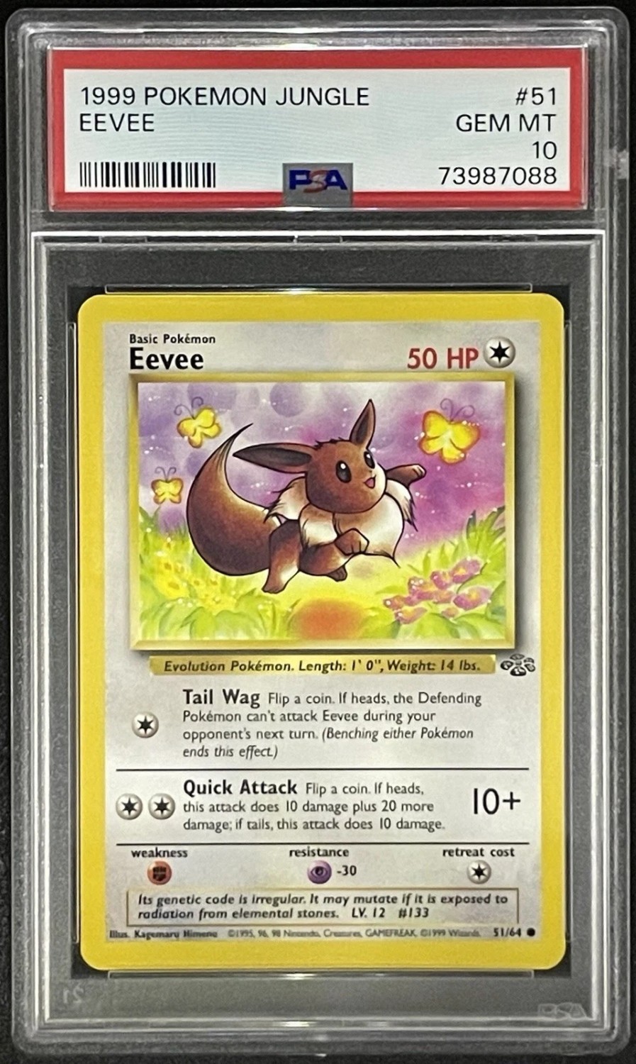 Eevee