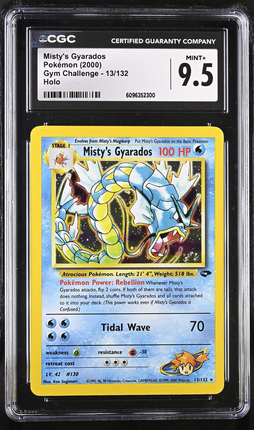 Misty's Gyarados