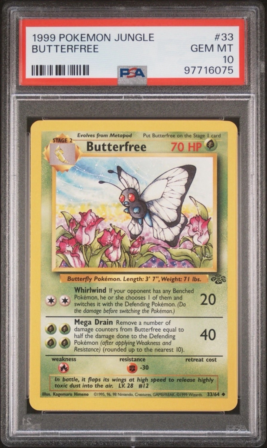 BUTTERFREE