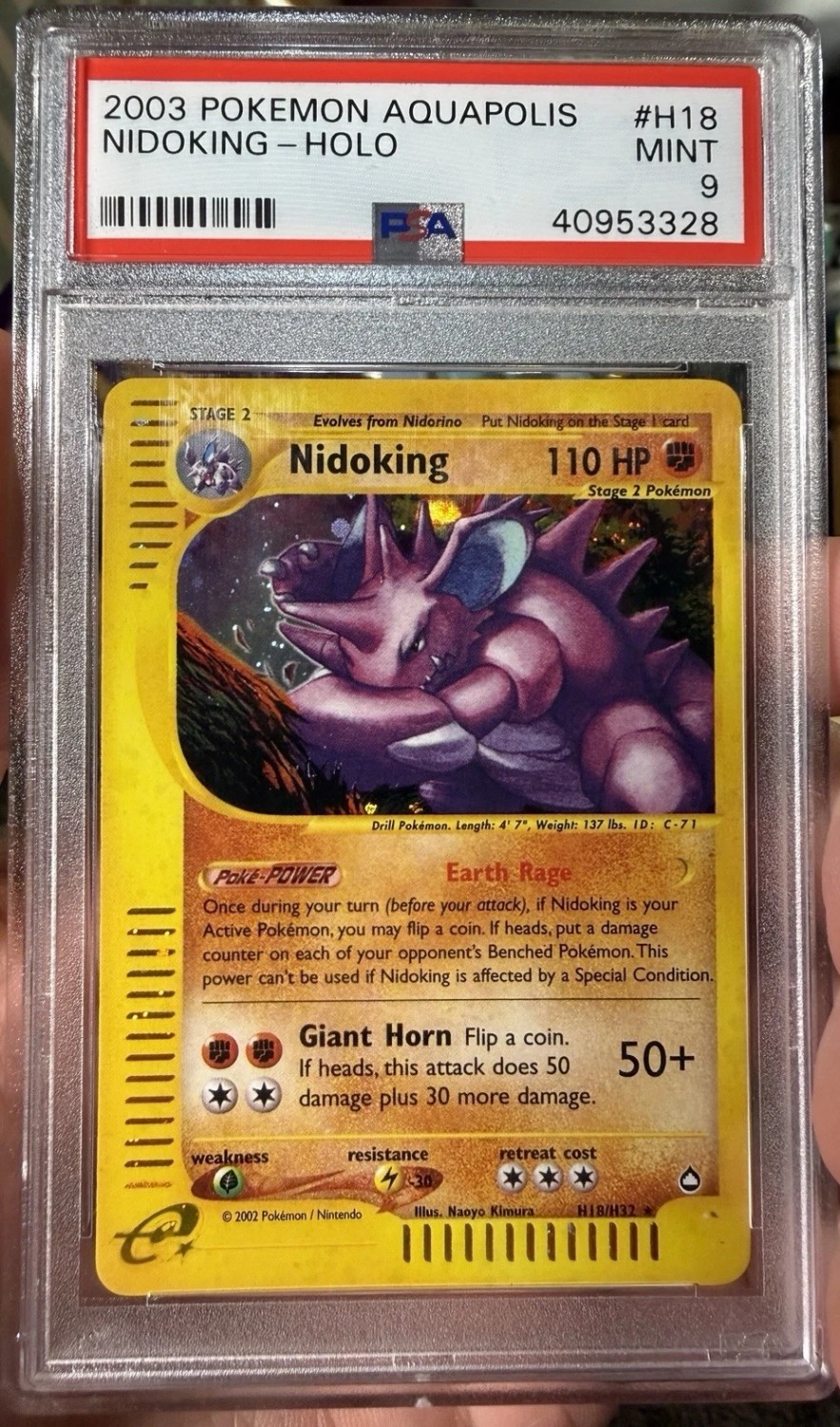 Nidoking