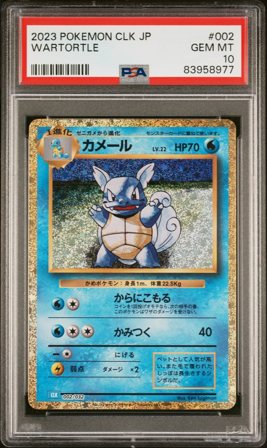 Wartortle