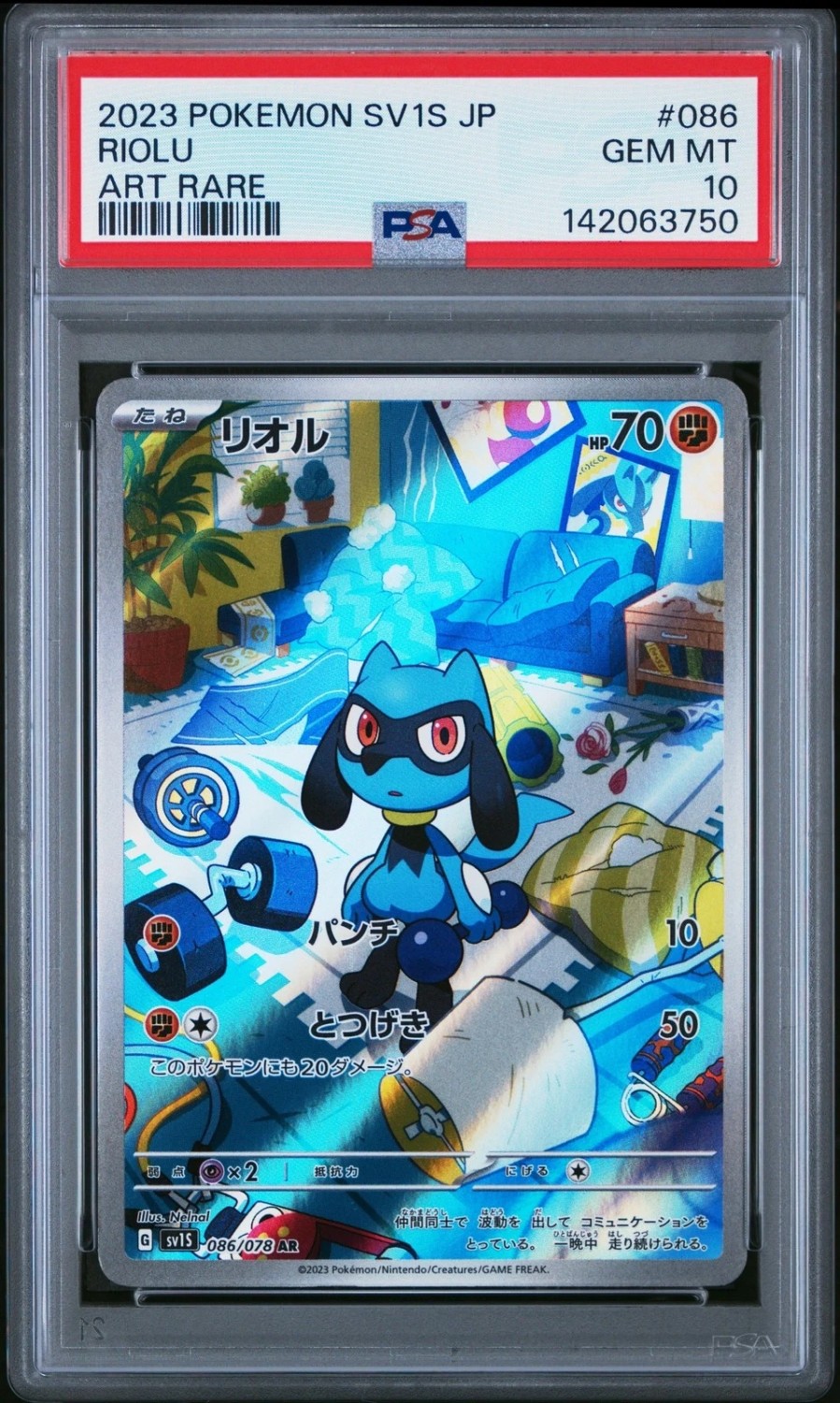 Riolu
