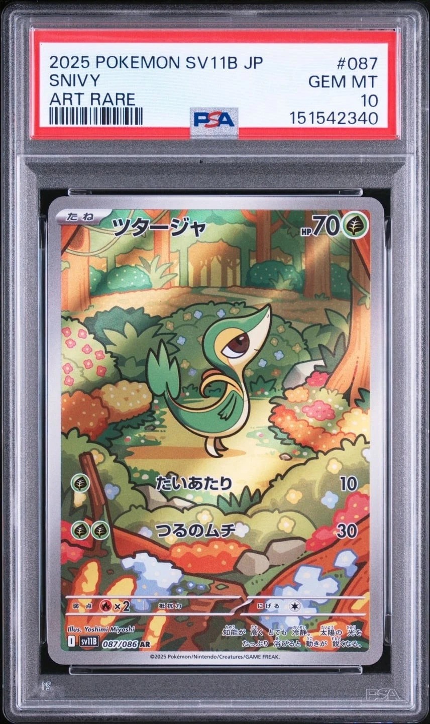 Snivy