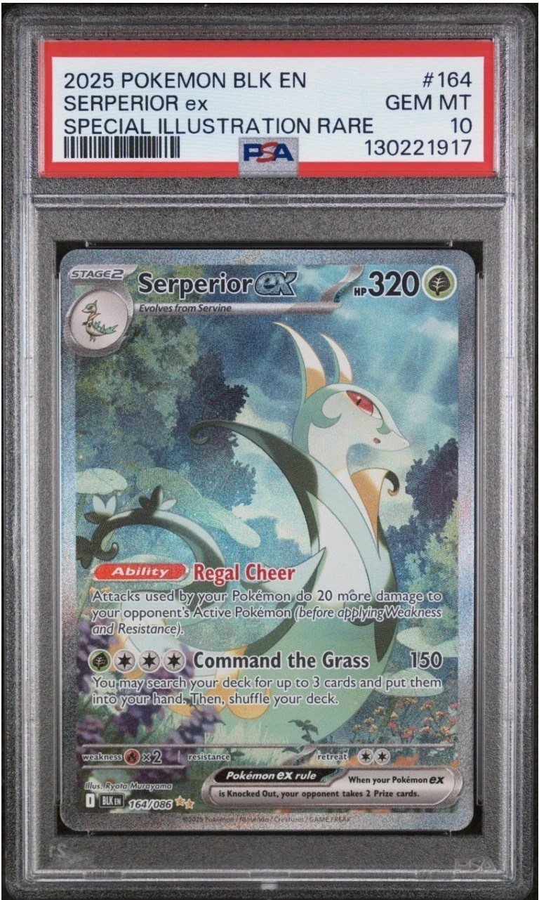 SERPERIOR ex