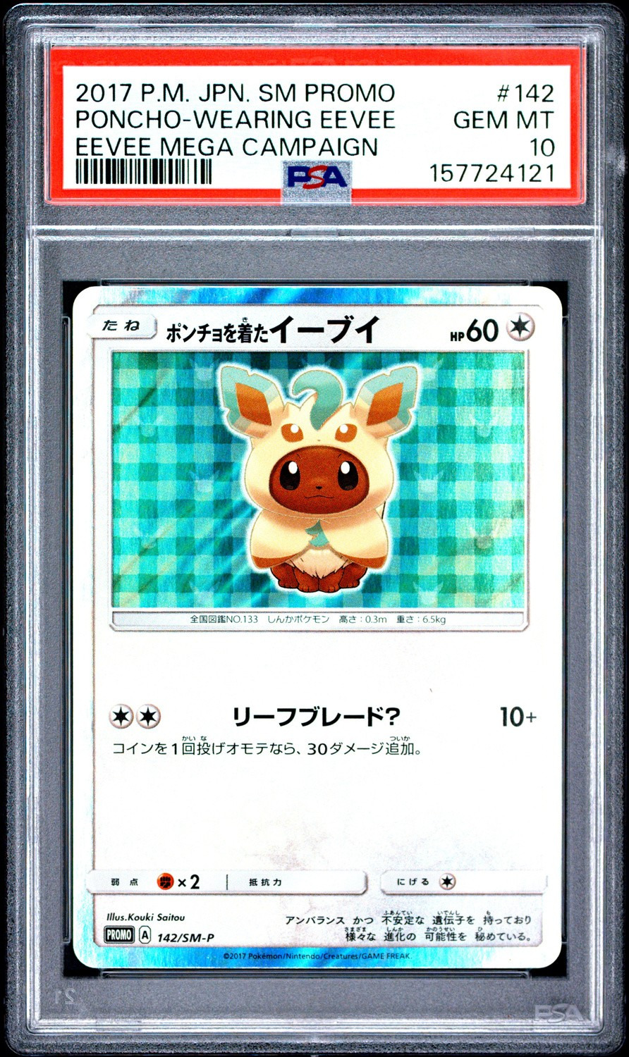 Poncho-Wearing Eevee