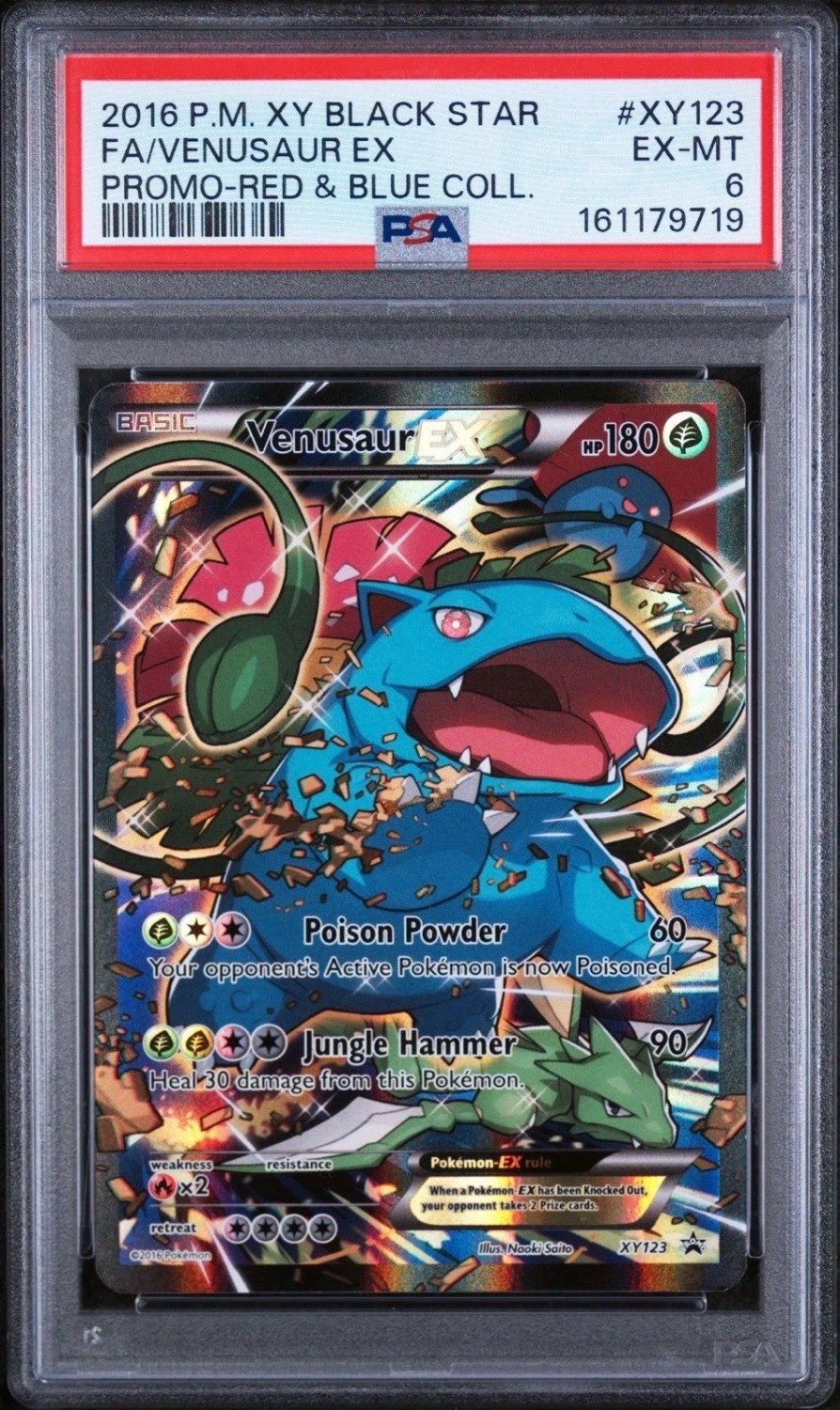 Venusaur EX