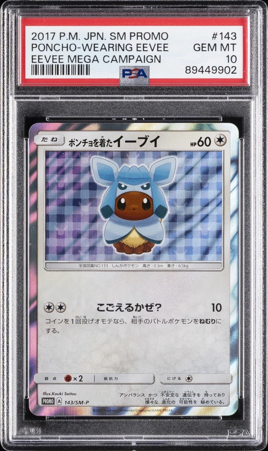 Poncho-Wearing Eevee