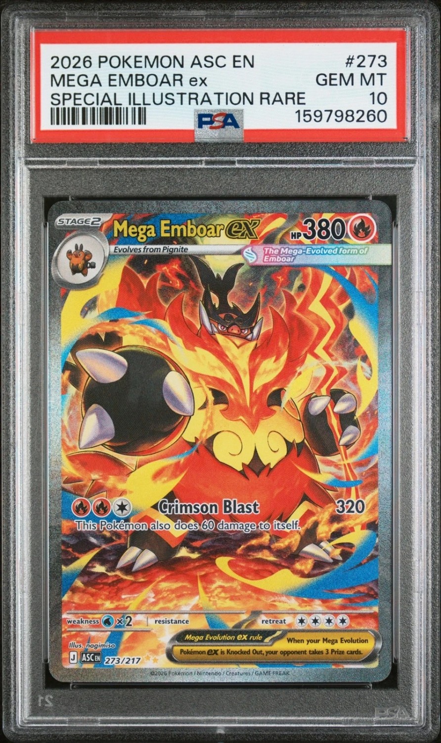 MEGA EMBOAR ex