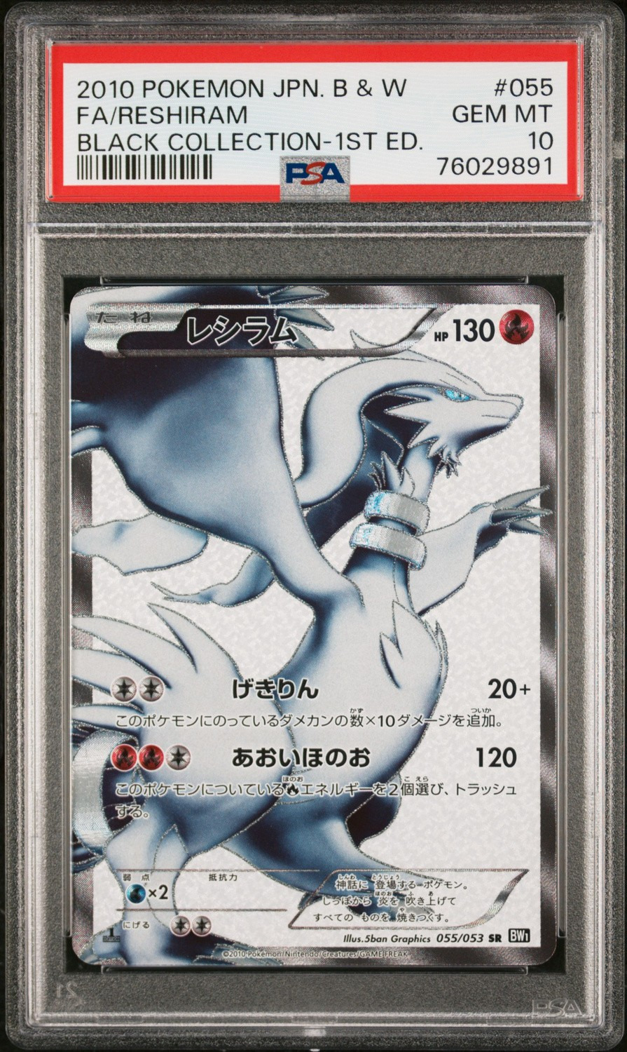 Holo · 1st Edition · Collection