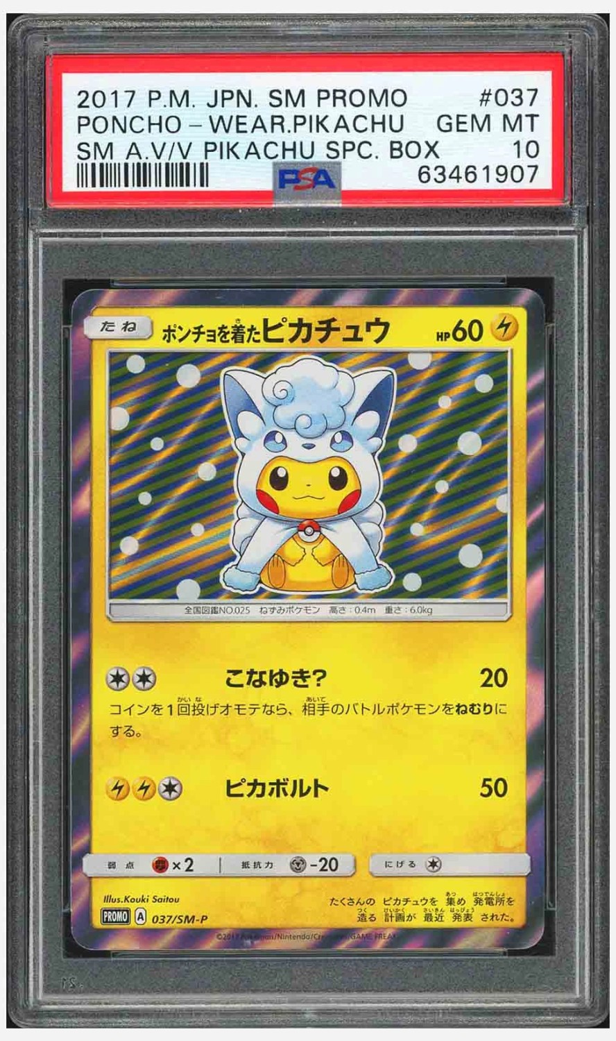 Poncho-Wear Pikachu
