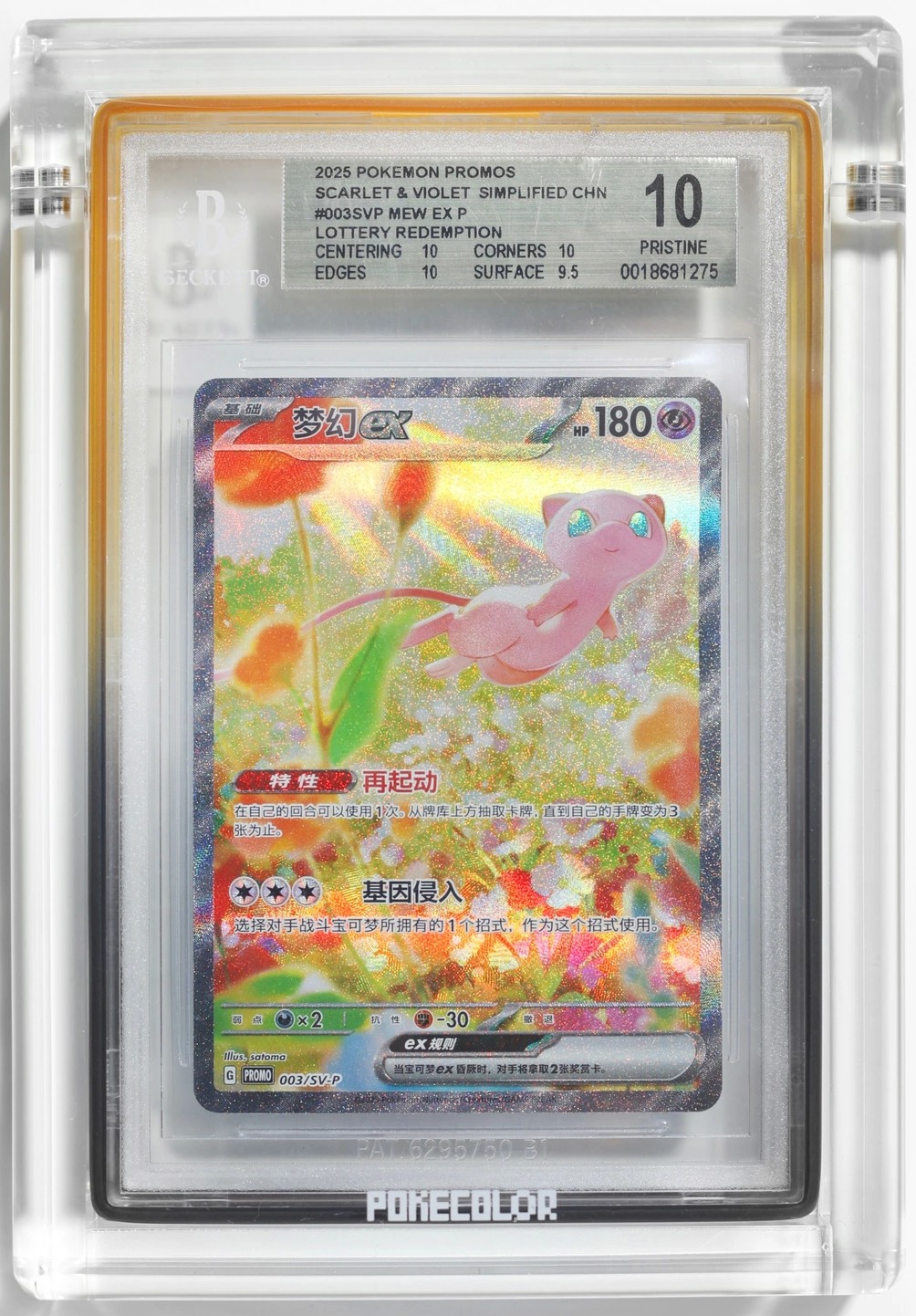 MEW ex