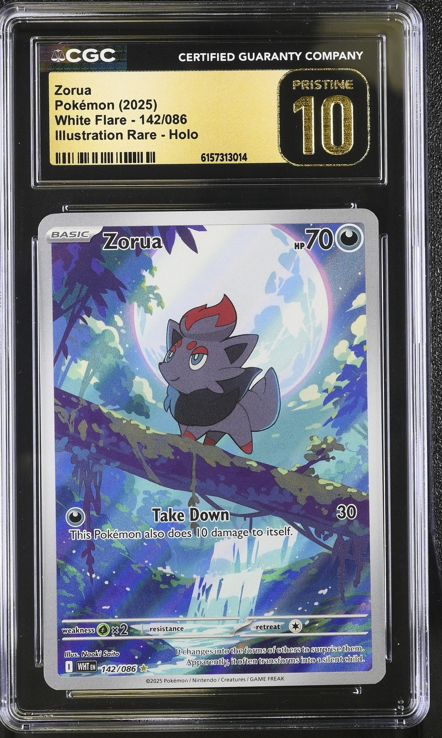 Zorua