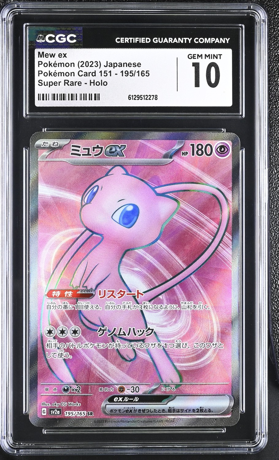Holo