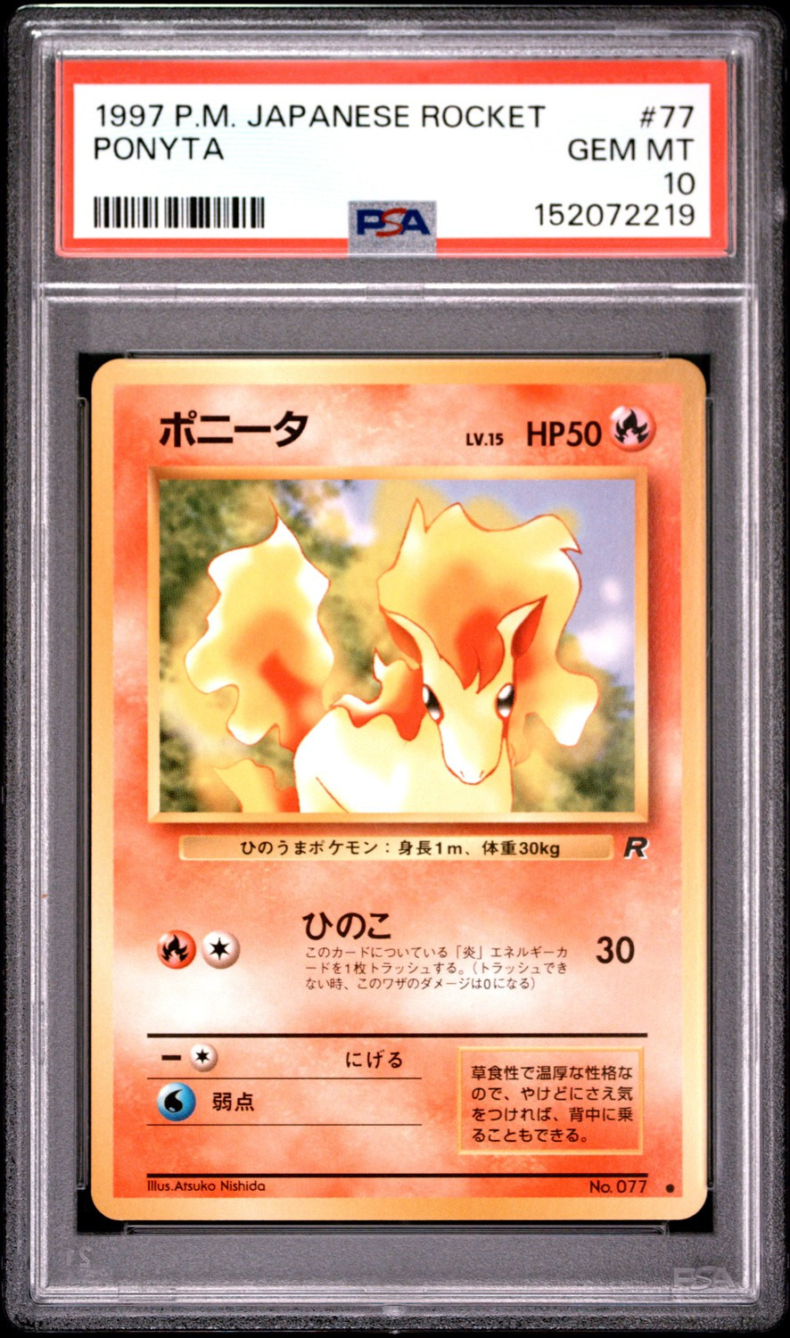 Ponyta