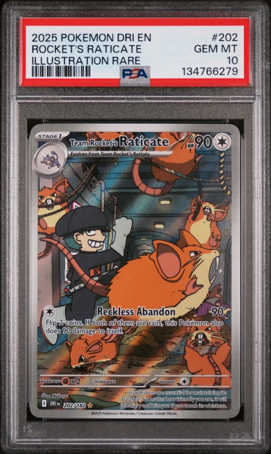 Rocket's Raticate