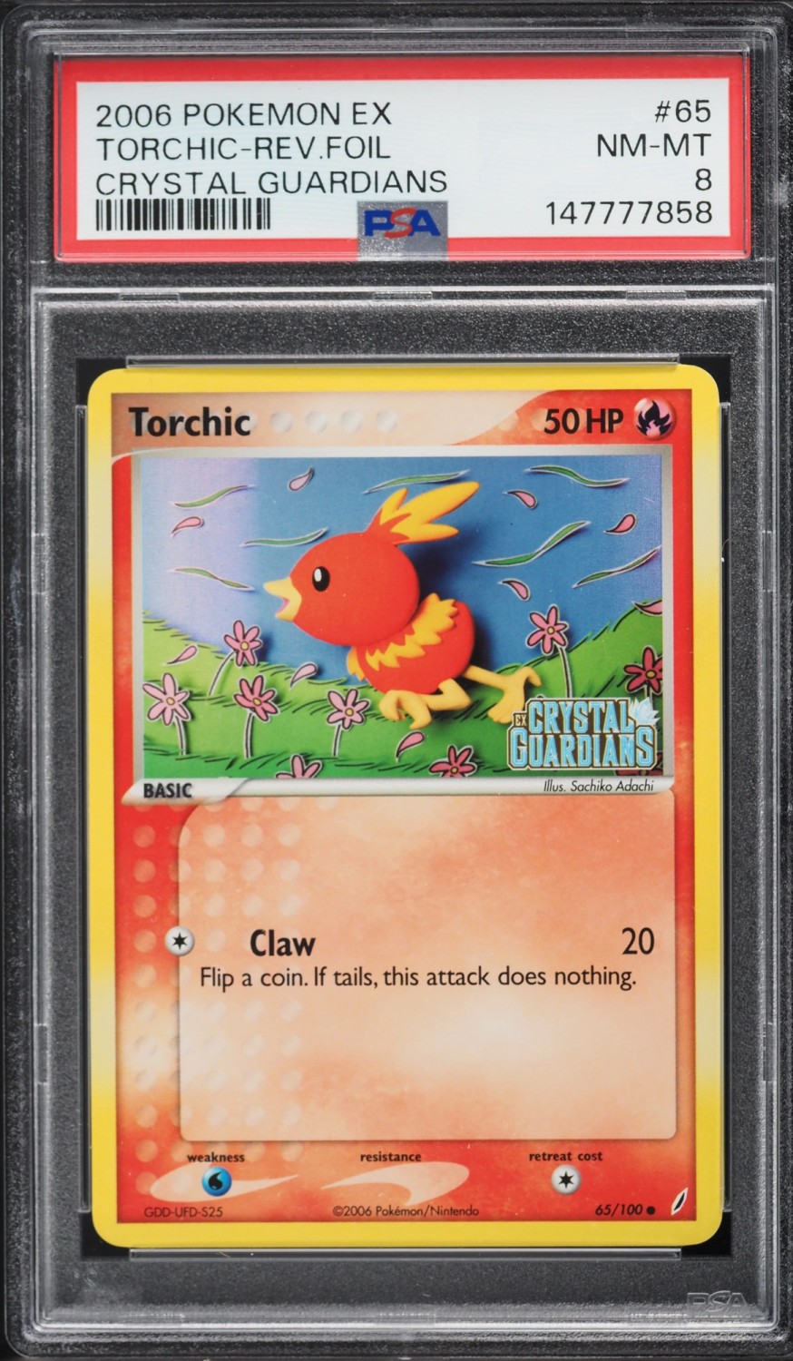 Torchic