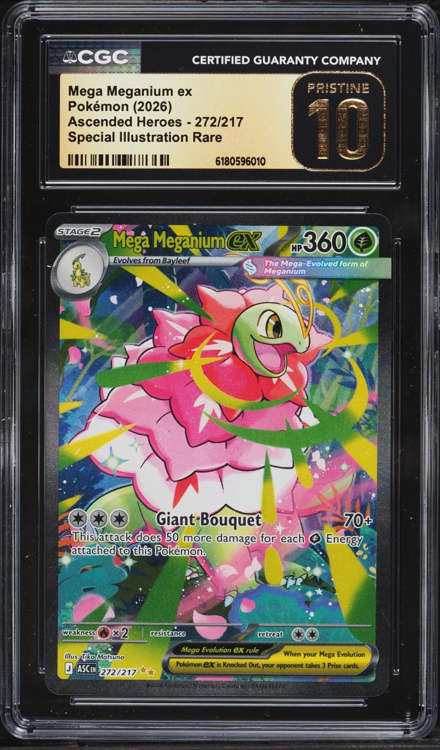 MEGA MEGANIUM ex