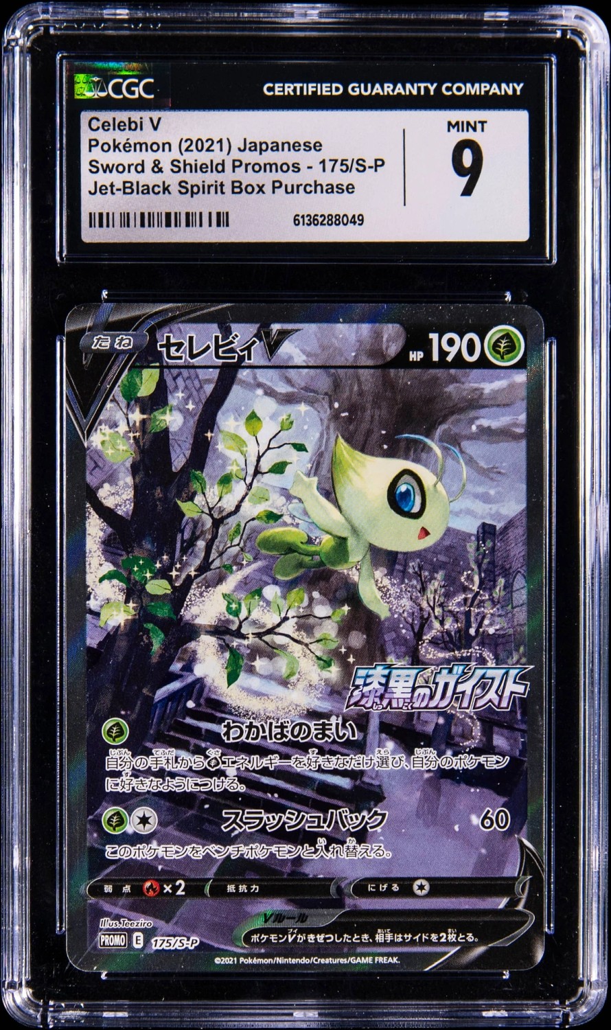 FA/CELEBI V