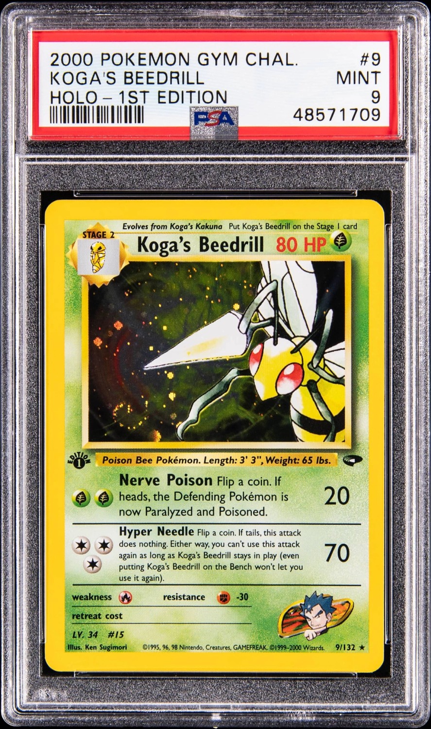Koga's Beedrill