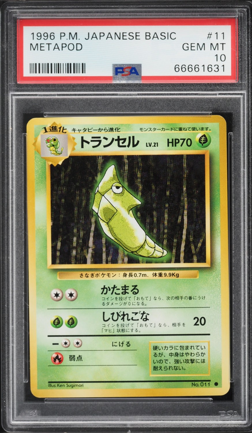 Metapod
