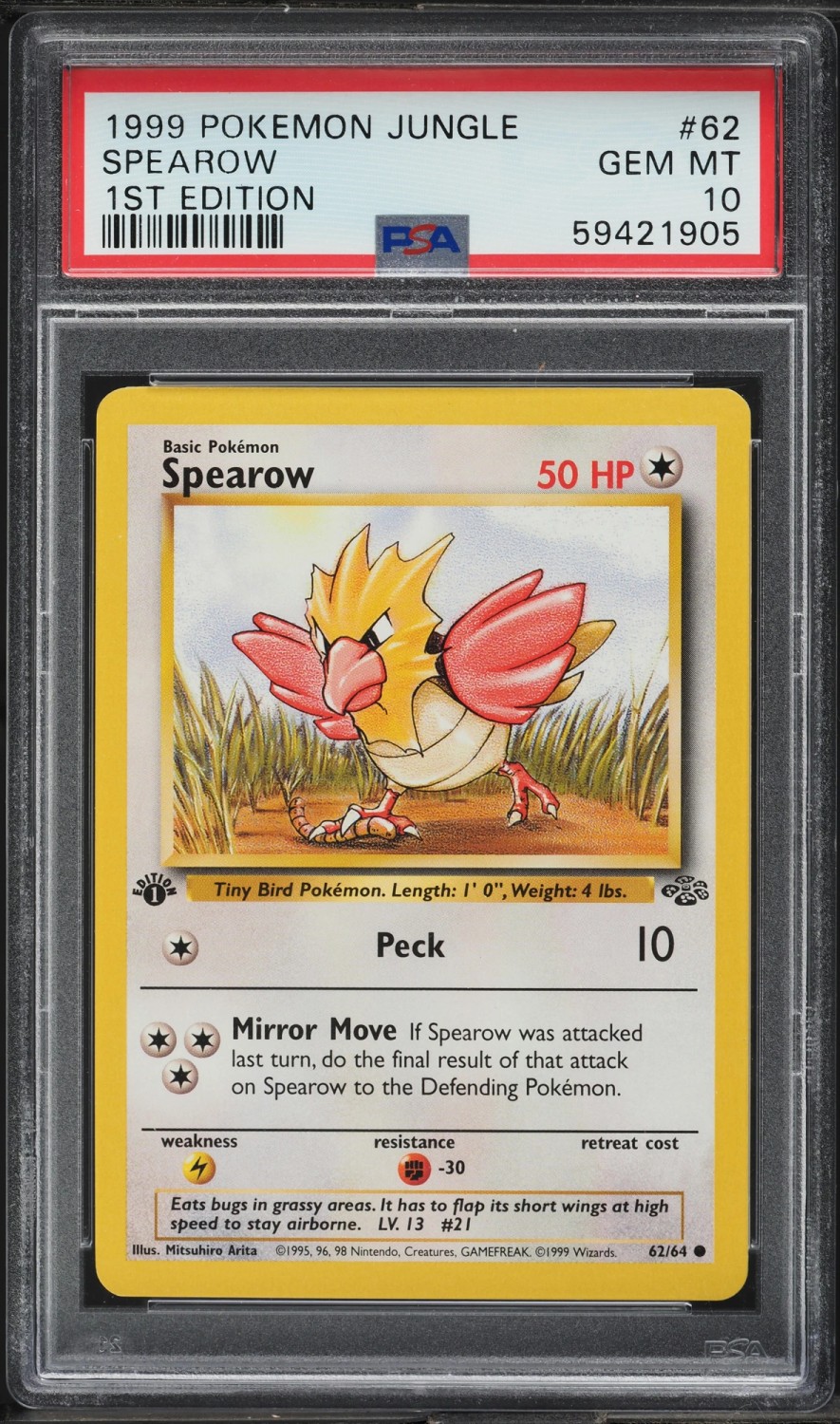 Spearow