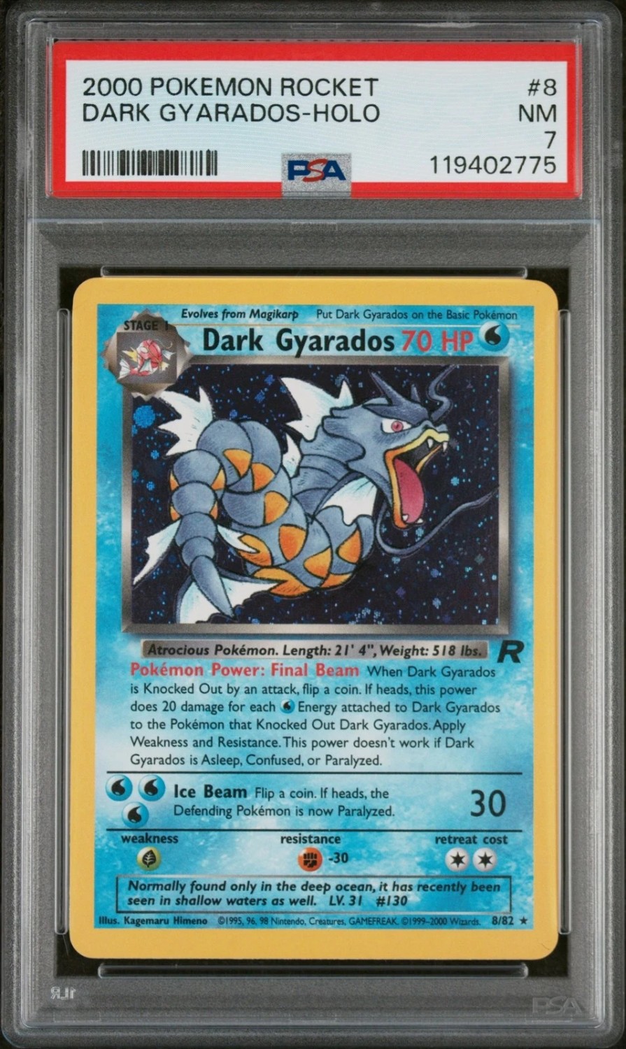 Dark Gyarados