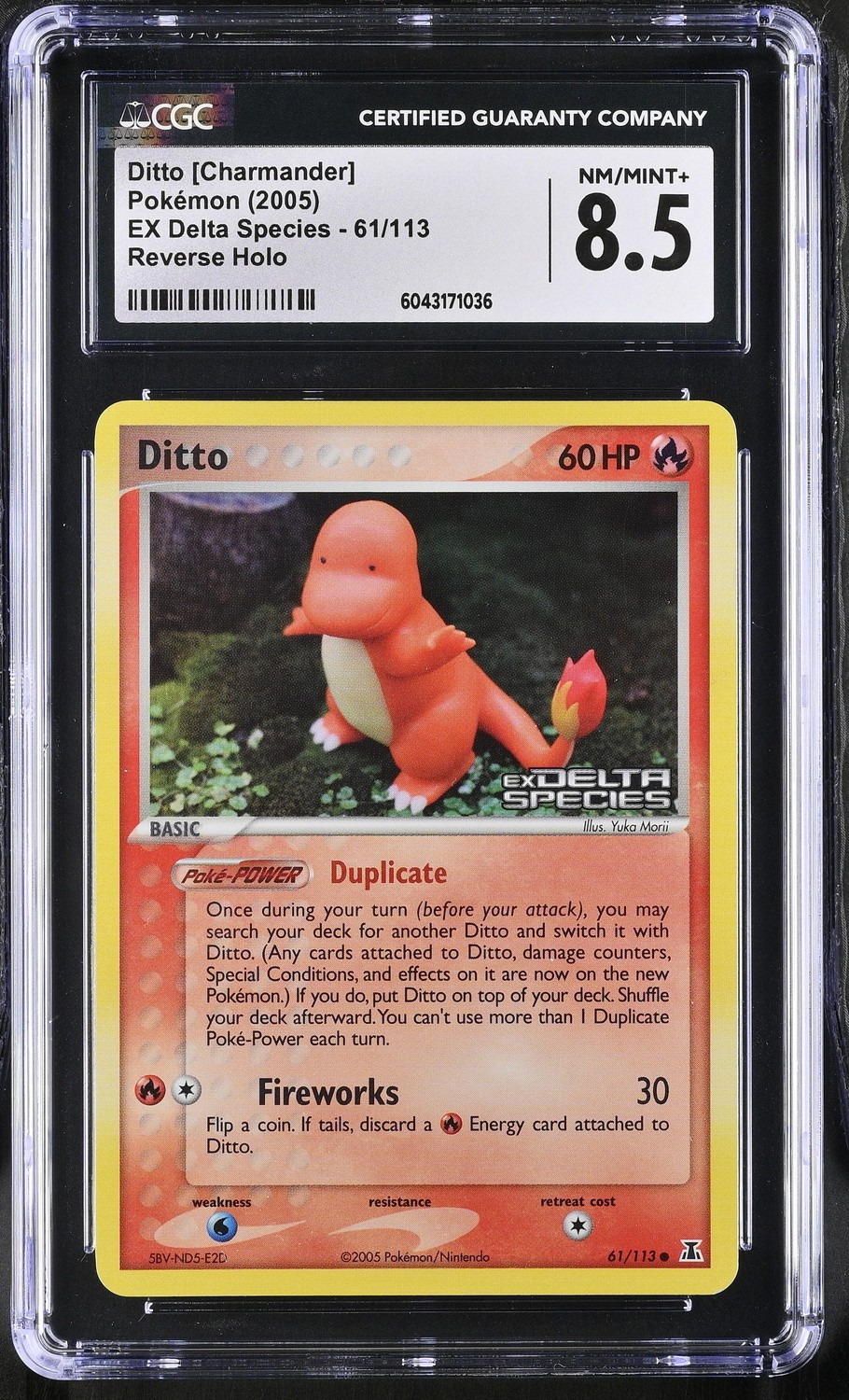 Ditto [Charmander]